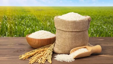 قیمت برنج ایرانی