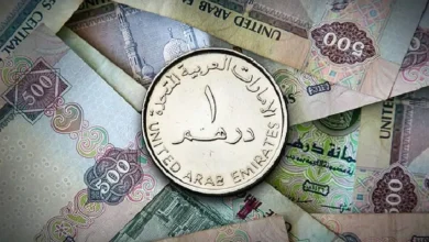 قیمت درهم امارات