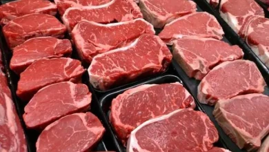 قیمت گوشت قرمز