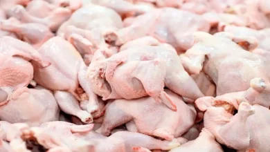 قیمت گوشت مرغ