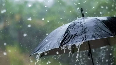 بارش باران شدید در این 4 استان