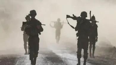 پناهگاه جدید