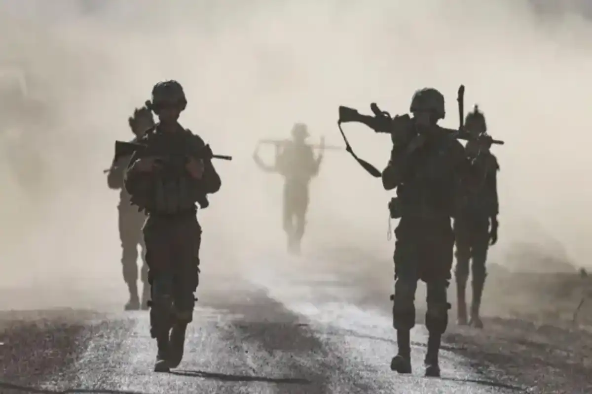 پناهگاه جدید