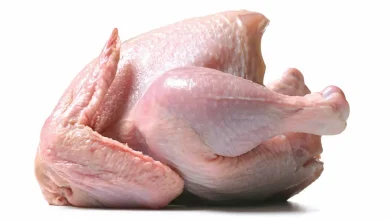 گوشت مرغ