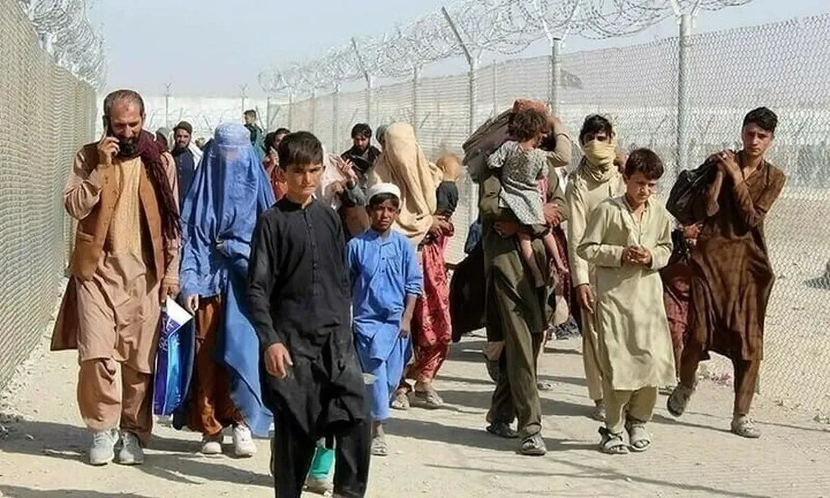 خبری هولناک قانونی شدن صیغه زنان ایرانی توسط اتباع افغانستانی!